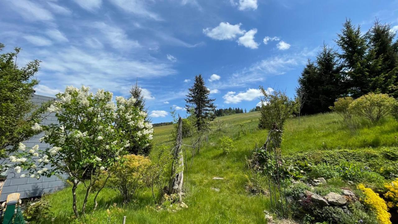 Vila Fluegels Rebi-Baude Rechenberg-Bienenmühle Exteriér fotografie