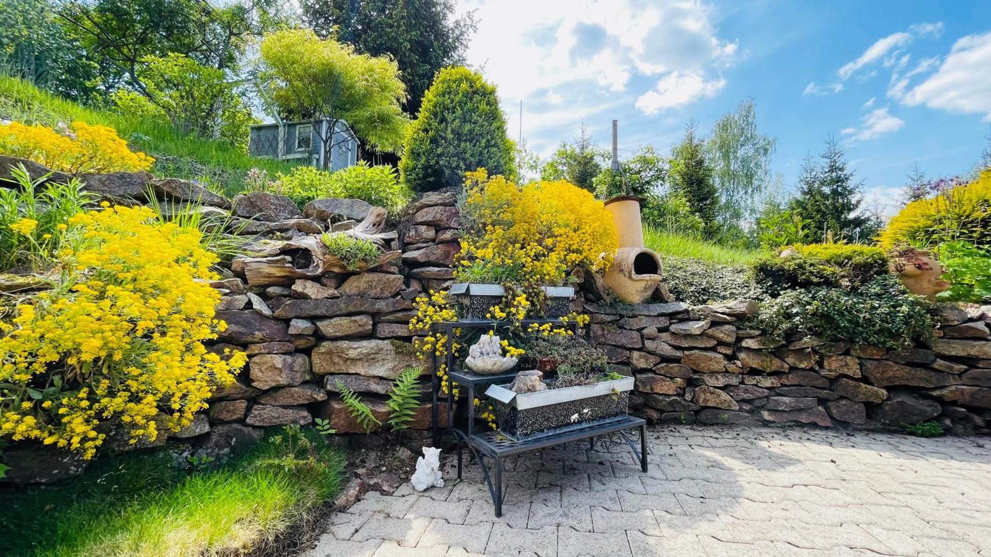 Vila Fluegels Rebi-Baude Rechenberg-Bienenmühle Exteriér fotografie