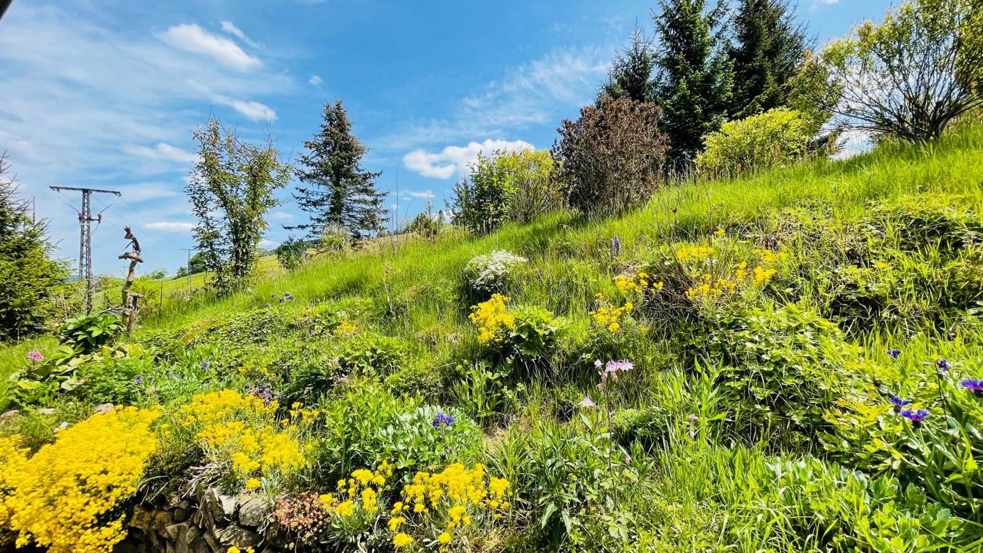 Vila Fluegels Rebi-Baude Rechenberg-Bienenmühle Exteriér fotografie