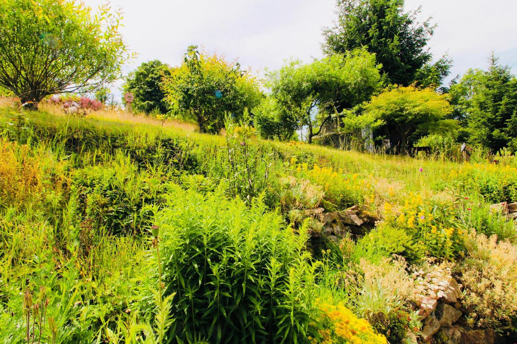 Vila Fluegels Rebi-Baude Rechenberg-Bienenmühle Exteriér fotografie
